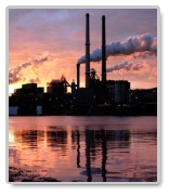 Essays on Ecology