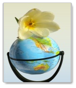 Essays on World Peace