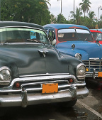 1950s Essays: Significant Events of the Period