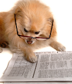 Essays on Current Issues: How to Talk about Them