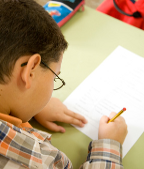 primary school essay