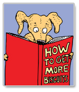 how to do a term paper