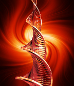 essays on dna