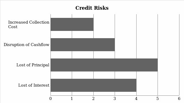  Credit Risks