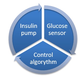 The working cycle of artificial pancreas.