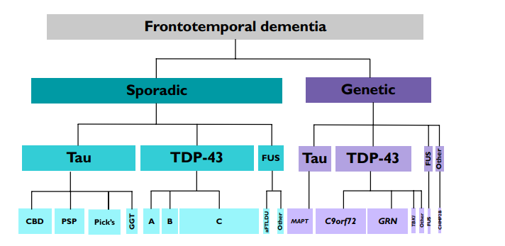 FTD genetic forms.