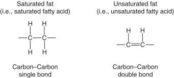 Fatty acid chains.